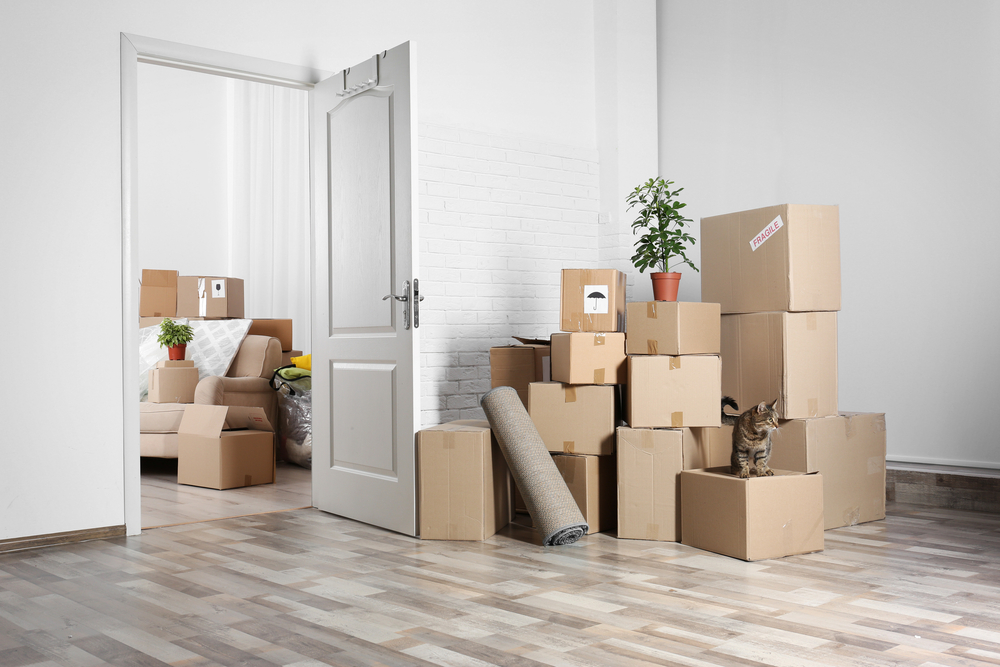 complete packing and unpacking services